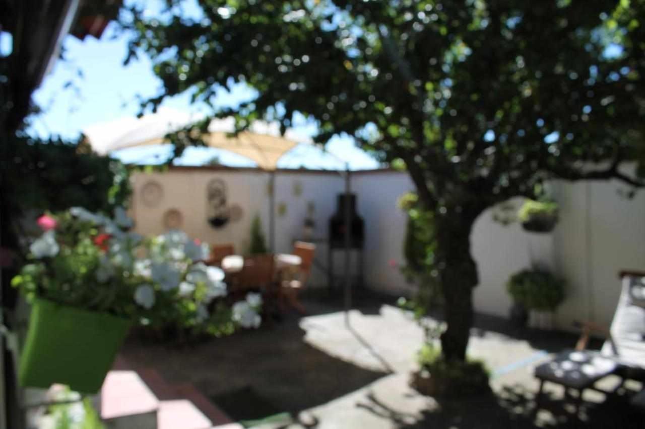 Alojamiento La Olmedana Olmedo Extérieur photo